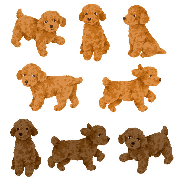 可爱的狗图片下载