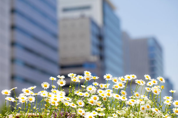 建筑,绿色图片下载