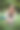美女健身跑步图片下载