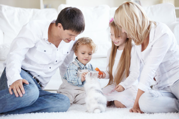 照顾宠物图片下载