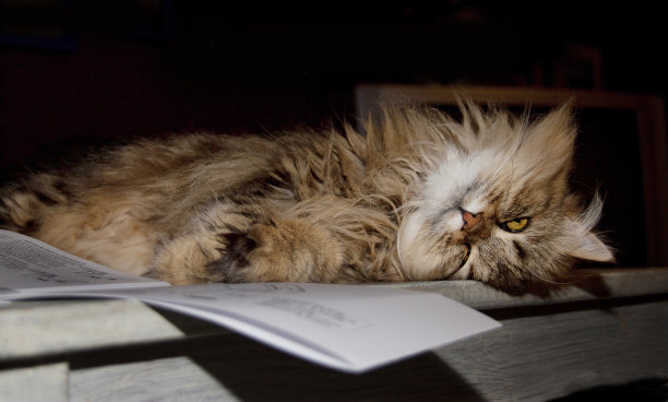 放轻松，放轻松图片下载