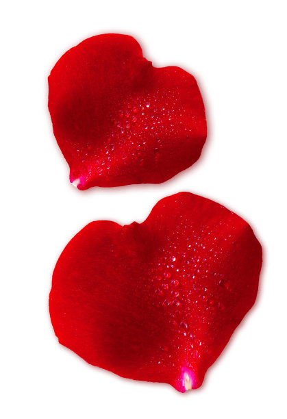 两颗瓦伦丁节的心。图片下载