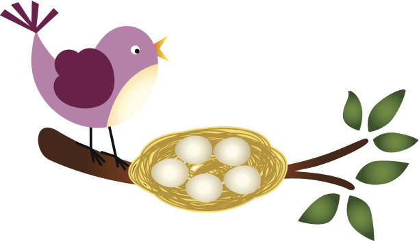 有蛋的鸟在树枝上的窝里图片下载