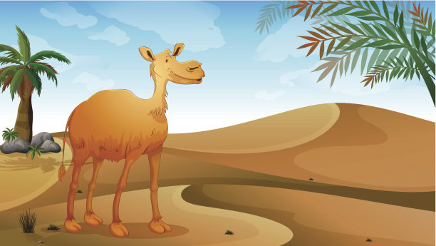 沙漠中的骆驼图片下载