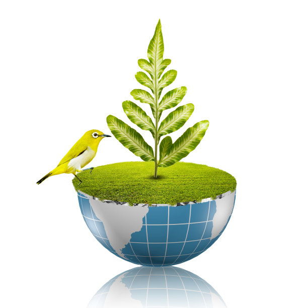 上面有绿色的植物和黄色的鸟图片下载