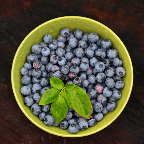 蓝莓图片下载