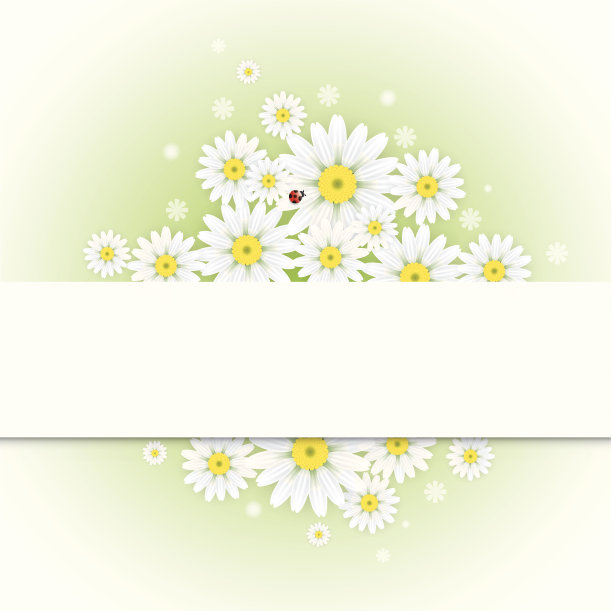 有洋甘菊和瓢虫的贺卡图片下载