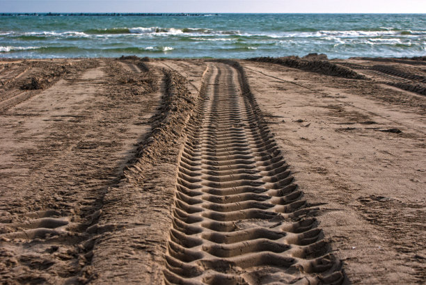 海滩上跟踪图片下载