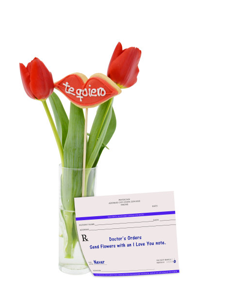 郁金香安排医生处方图片下载