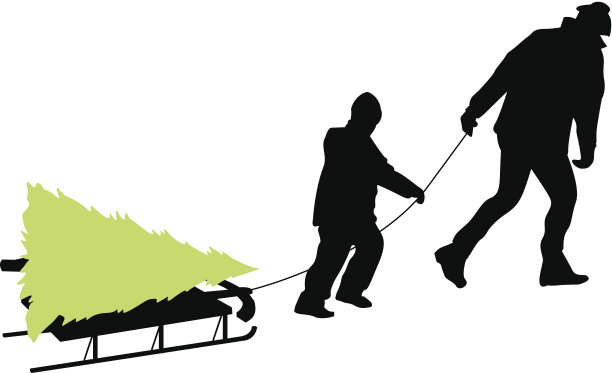 答案:C图片下载