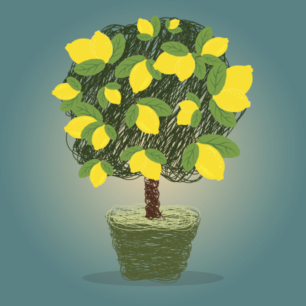 柠檬树在花盆涂鸦风格的向量图片下载