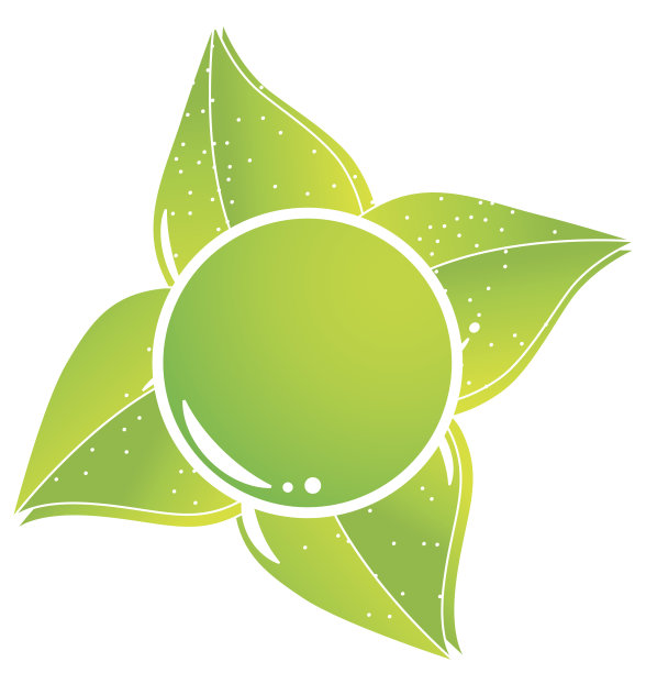 全球叶绿概念图片下载