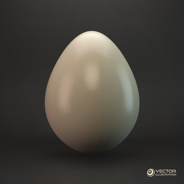 鸡蛋。矢量插图。图片下载