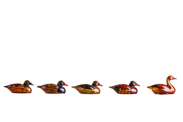 小木鸭子图片下载