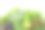 白色背景上的几束新鲜香草素材图片