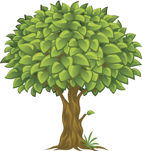 郁郁葱葱的树图片下载