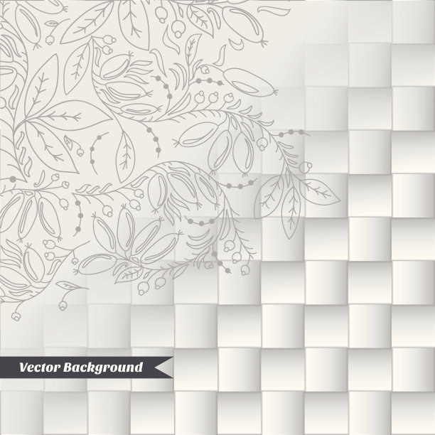 抽象背景的方块和装饰的小檗图片下载