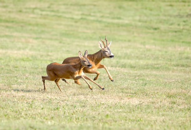 在一起永远图片下载