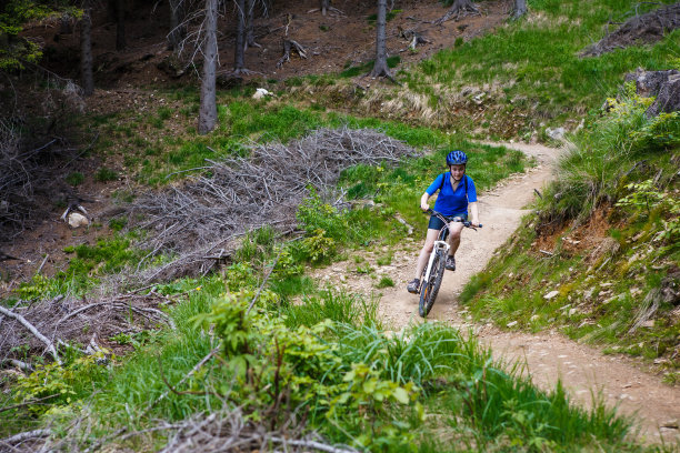 女孩在森林小径上骑自行车图片下载