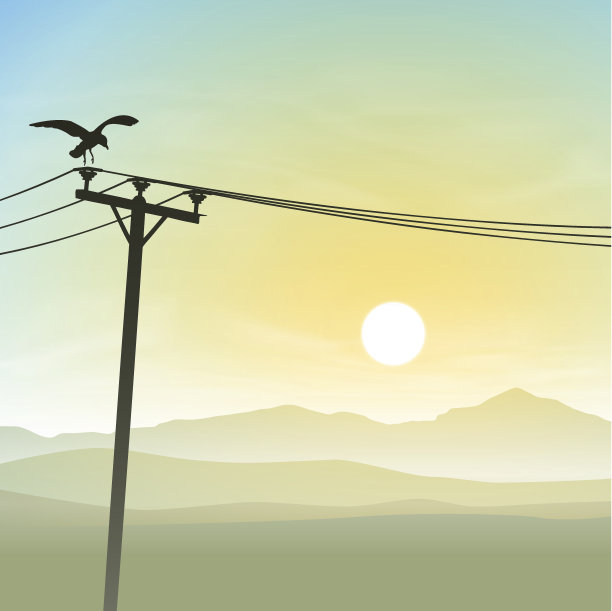 电话线上的鸟图片下载