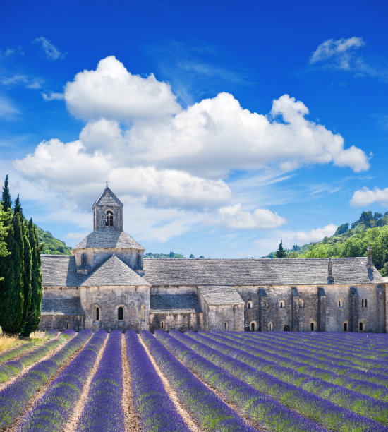 拥有薰衣草田的塞纳克修道院，普罗旺斯的地标，沃克卢兹图片下载