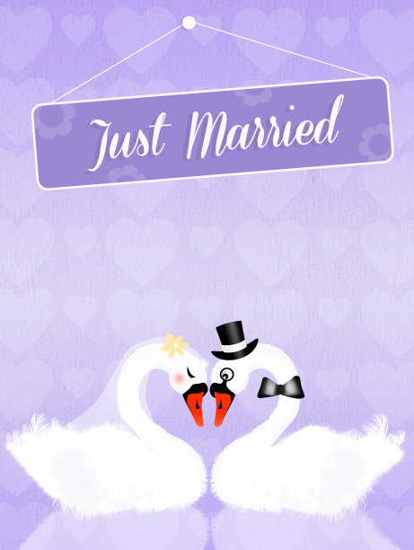 婚礼的天鹅图片下载
