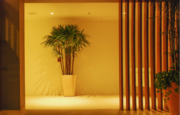 走廊、室内植物、光影木墙图片下载