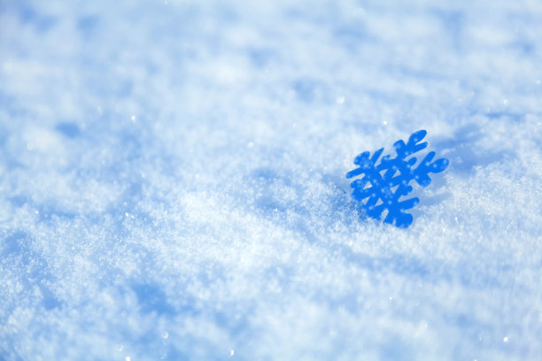 雪花躺在雪地上图片下载