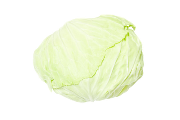 卷心菜图片下载