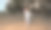 森林中沉思的老人全景照片。太极。图片下载