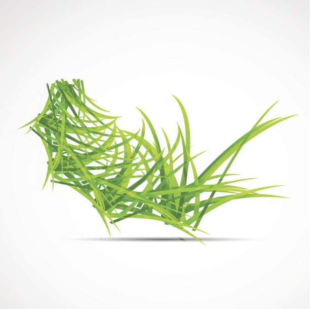 抽象美丽的花背景图片下载