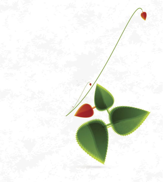 叶抽象背景图片下载