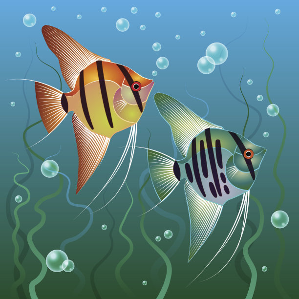 Pterophyllum爬图片下载