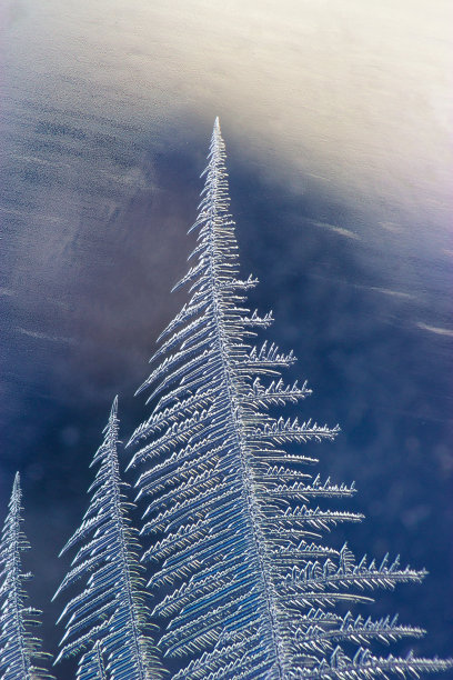 磨砂玻璃的超微距镜头图片下载