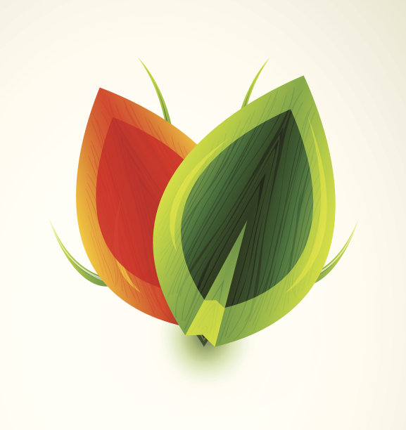 矢量闪亮的绿叶图片下载