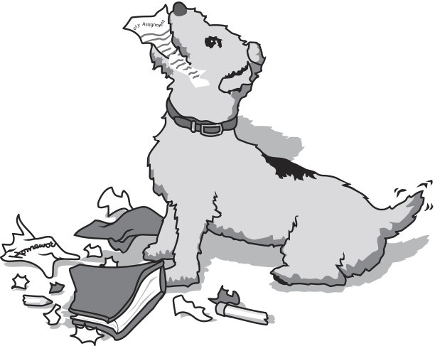 狗嚼作业图片下载