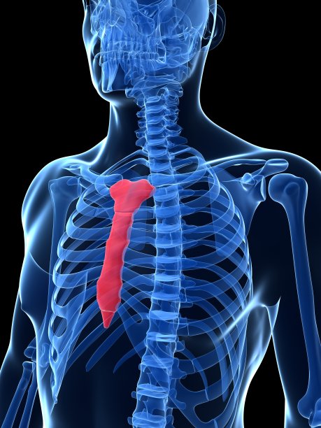 乳腺癌骨图片下载