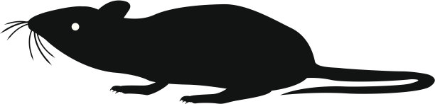 鼠标轮廓图片下载