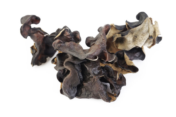 干黑木耳(犹太人的耳菌)在白色图片下载