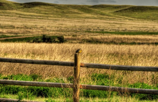 草原上的干草田图片下载