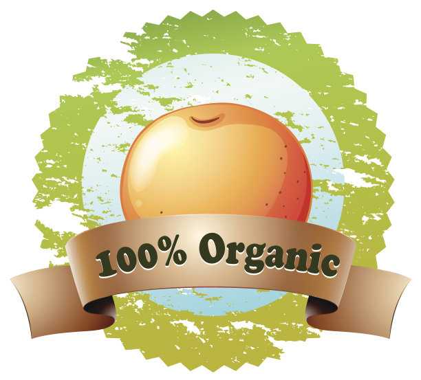 有一个橙子的纯有机标签图片下载