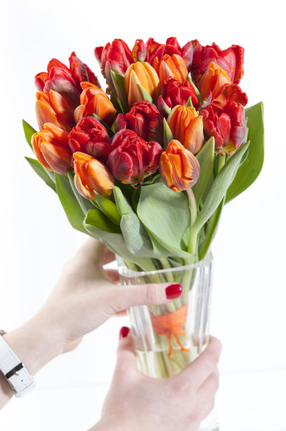 五颜六色的郁金香花束图片下载