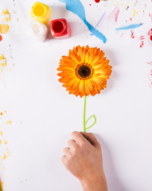 花的概念图片下载