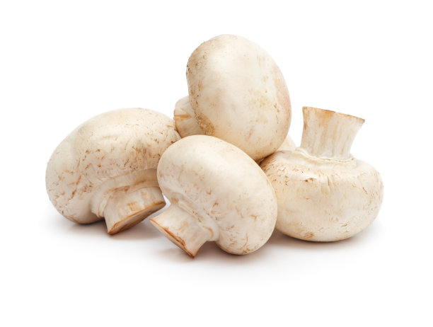 食用香草图片下载