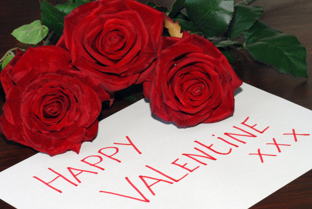 快乐情人节图片下载