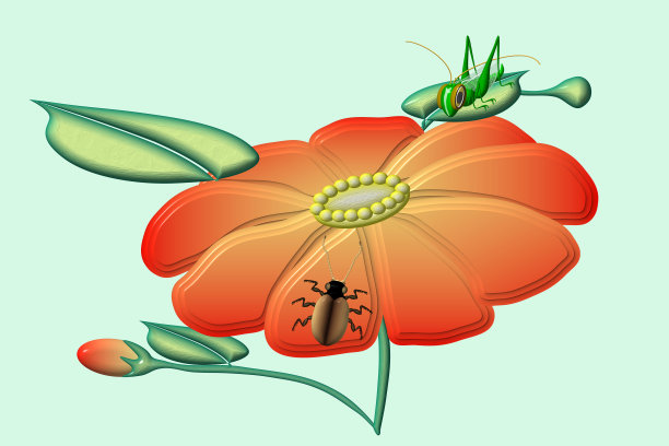 花和昆虫图片下载