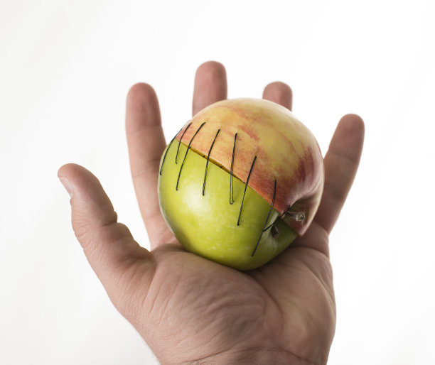人捧着绿红两个苹果部分操纵水果图片下载