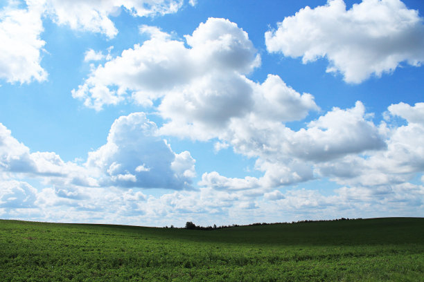 绿草蓝天图片下载