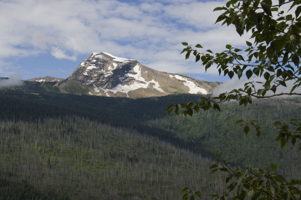 冰川NP图片下载