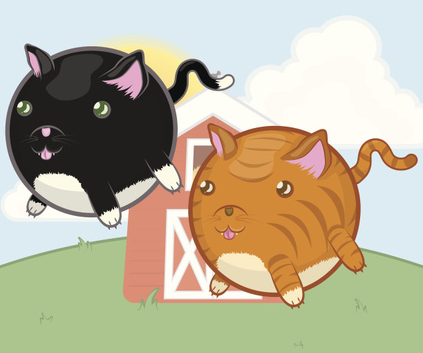 可爱的农场动物猫图片下载